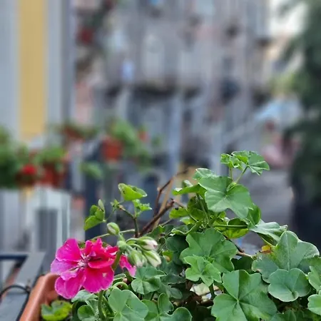 Bed & Breakfast Casa Tua